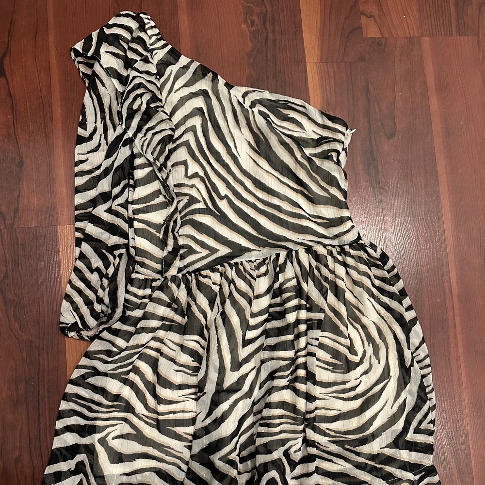 Zebra dress